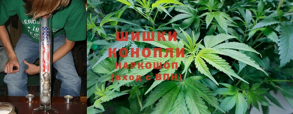 мяу мяу мука Абаза