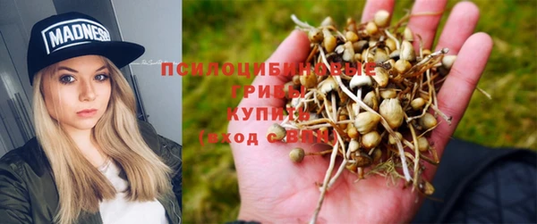 мяу мяу мука Абаза