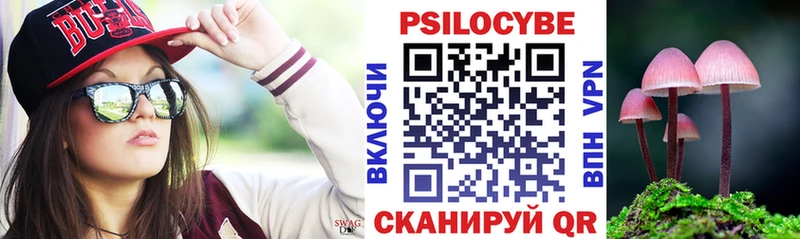 купить закладку  Ленинградская  Псилоцибиновые грибы Psilocybe 