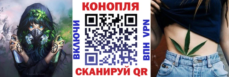 Бошки Шишки семена  Ленинградская 